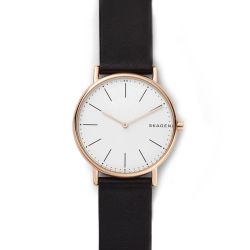 Orologio Skagen Signatur Slim SKW6430