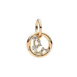 Charm Pendente Segno Zodiacale Acquario