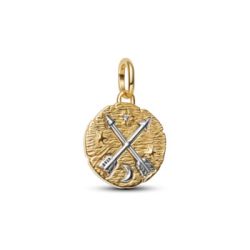 Medallion Frecce “Ad Meliora” Pandora ME