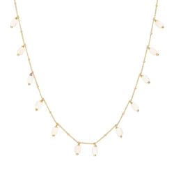 Collana Etrusca WSET00600.WA