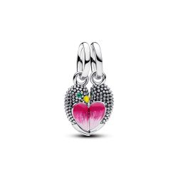 Charm Pendente Divisibile Inseparabili