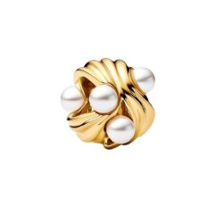 Charm Tesori dell’Oceano