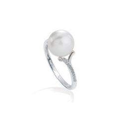 Anello Coscia Lelune Classic LLRN718