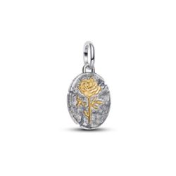 Medallion Rosa “Rosa Inter Spinas Crescit” Pandora ME