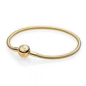 Bracciale Pandora Signature con Maglia Snake e Barretta a T »