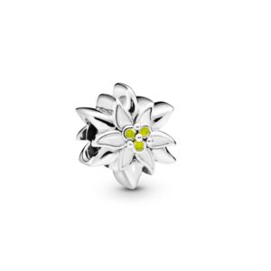 Anello Cerchio Eterno Turchese Dicembre »