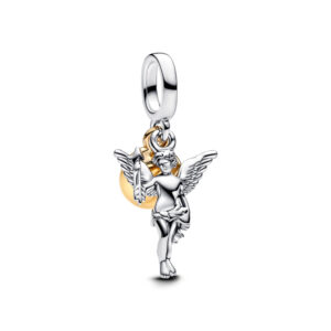 Charm Confezione Regalo Scintillante »