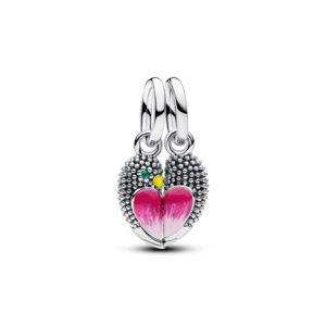 Charm Pendente Divisibile Inseparabili